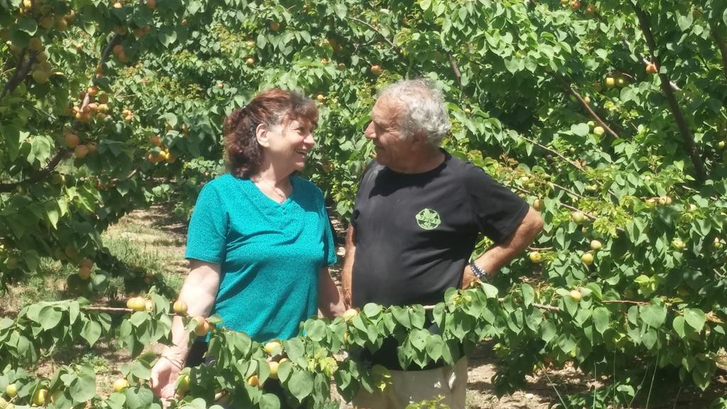 Nuriel Fruit & Guest House Sheʼar Yashuv Eksteriør bilde